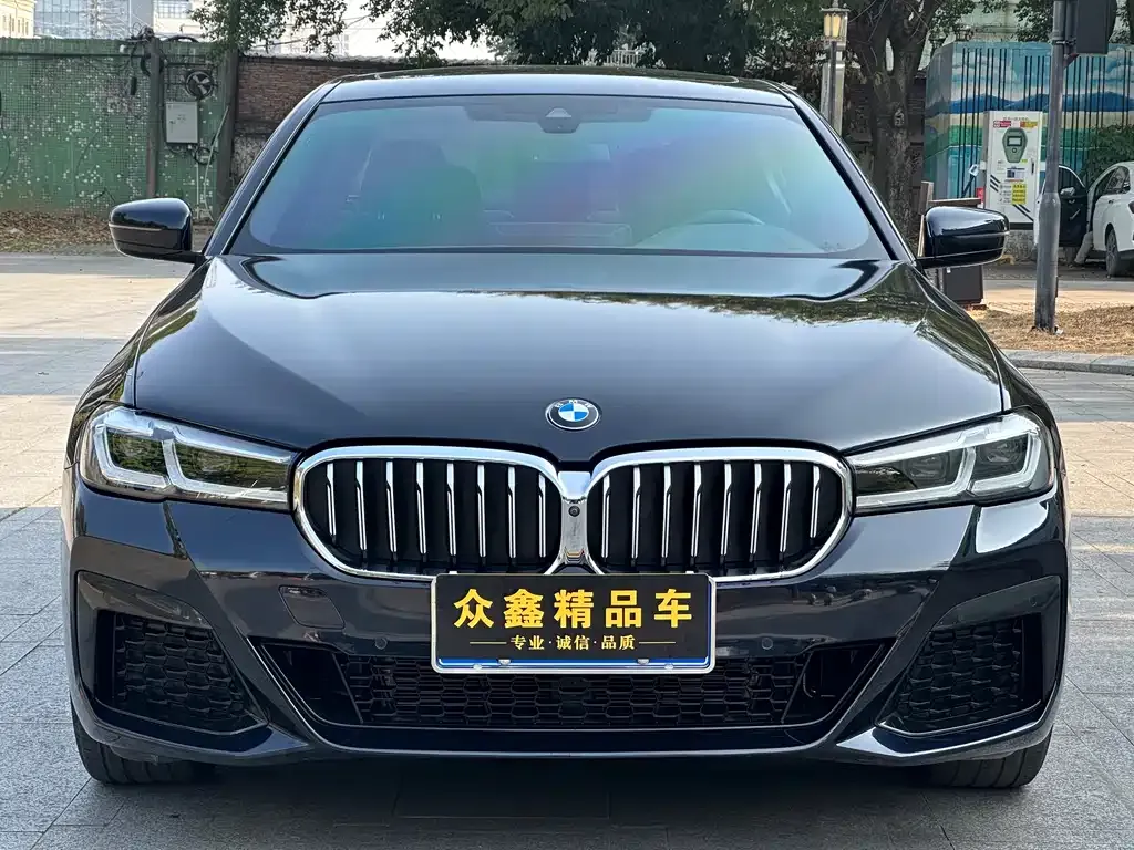 BMW 5 Series 2022 из CN, фото 10