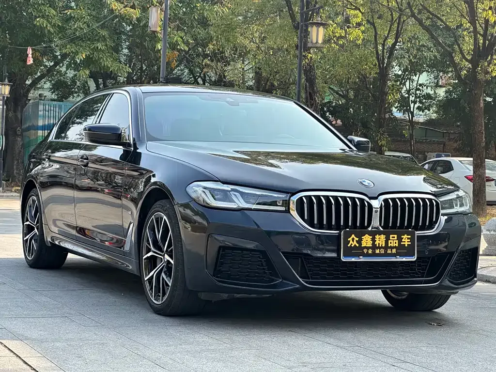 BMW 5 Series 2022 из CN, фото 3