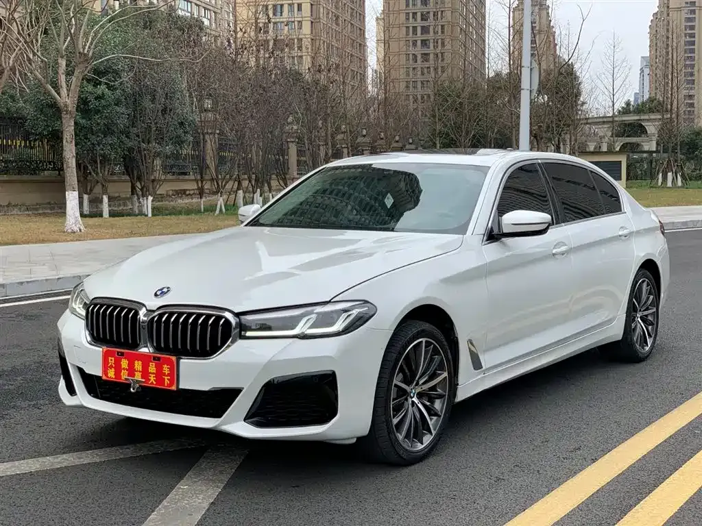 BMW 5 Series 2022 из CN, фото 1