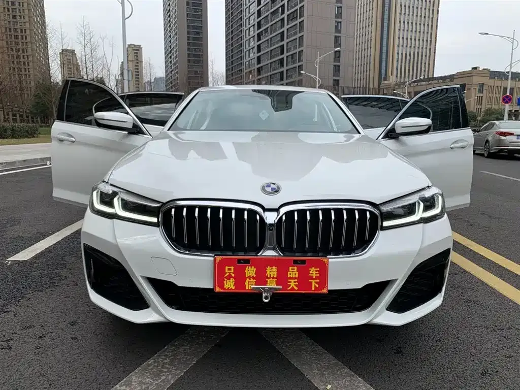 BMW 5 Series 2022 из CN, фото 6