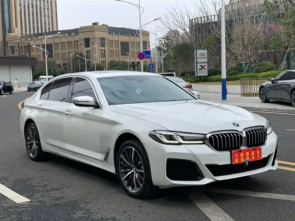 BMW 5 Series 2022 из CN, фото 2