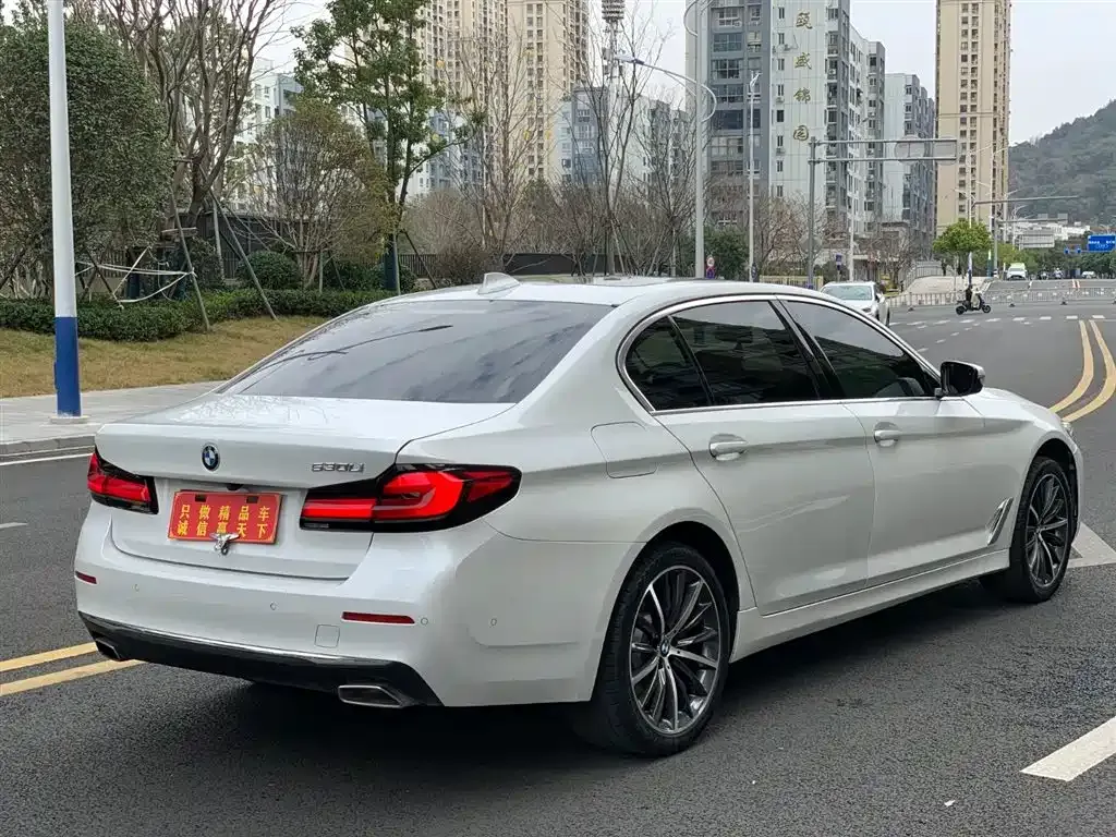 BMW 5 Series 2022 из CN, фото 4