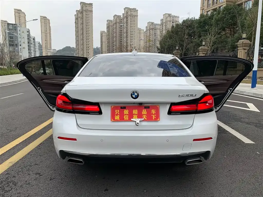BMW 5 Series 2022 из CN, фото 8