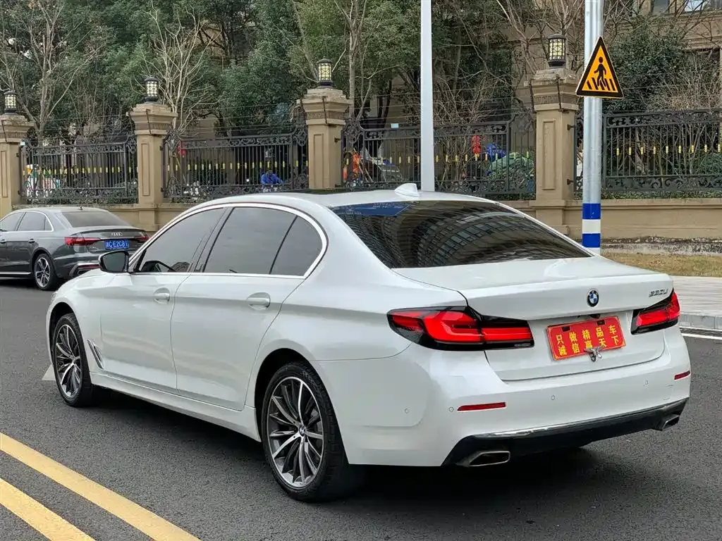 BMW 5 Series 2022 из CN, фото 9