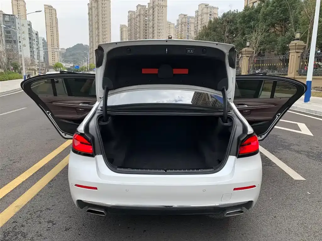 BMW 5 Series 2022 из CN, фото 5