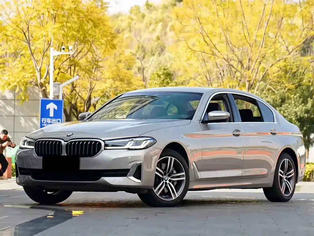 BMW 5 Series 2021 из CN, фото 1