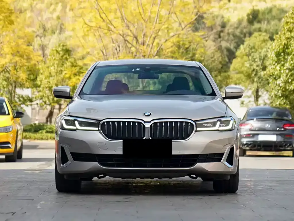 BMW 5 Series 2021 из CN, фото 6