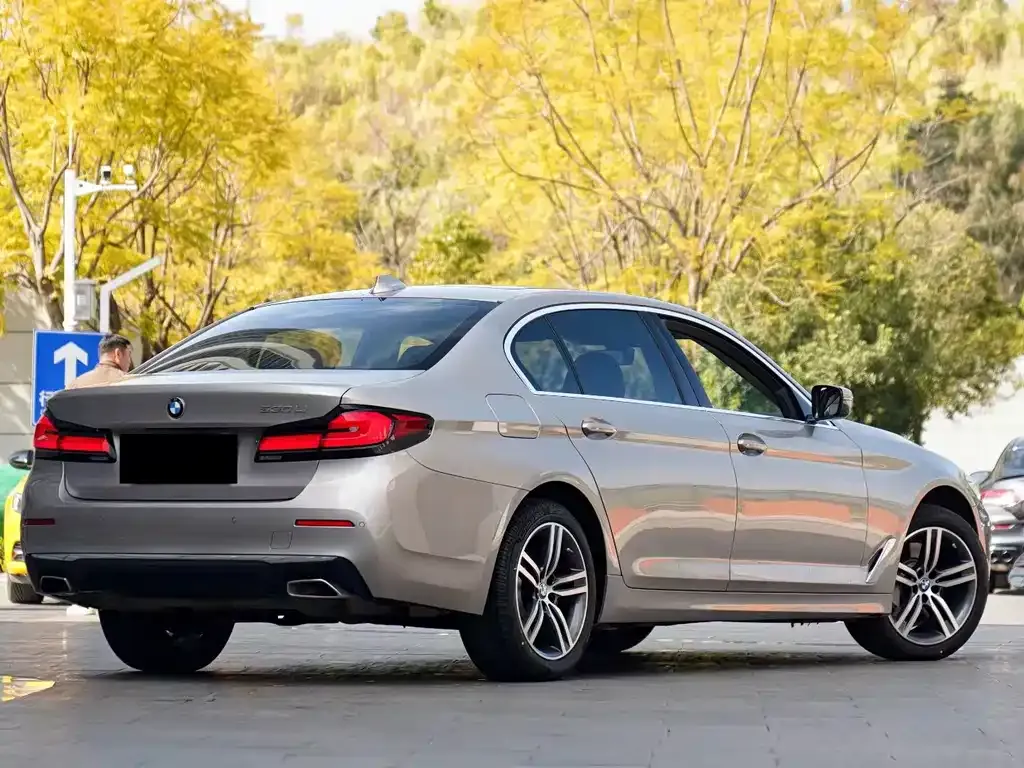 BMW 5 Series 2021 из CN, фото 7