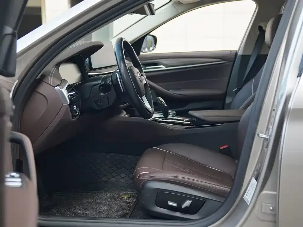 BMW 5 Series 2021 из CN, фото 4