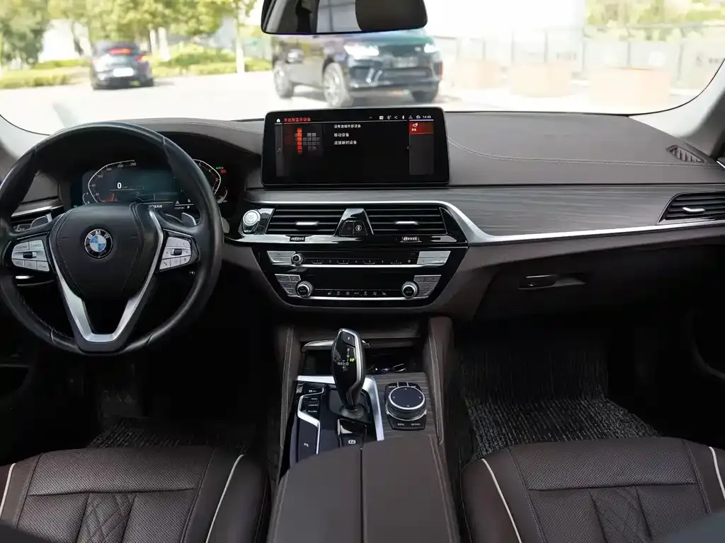BMW 5 Series 2021 из CN, фото 8