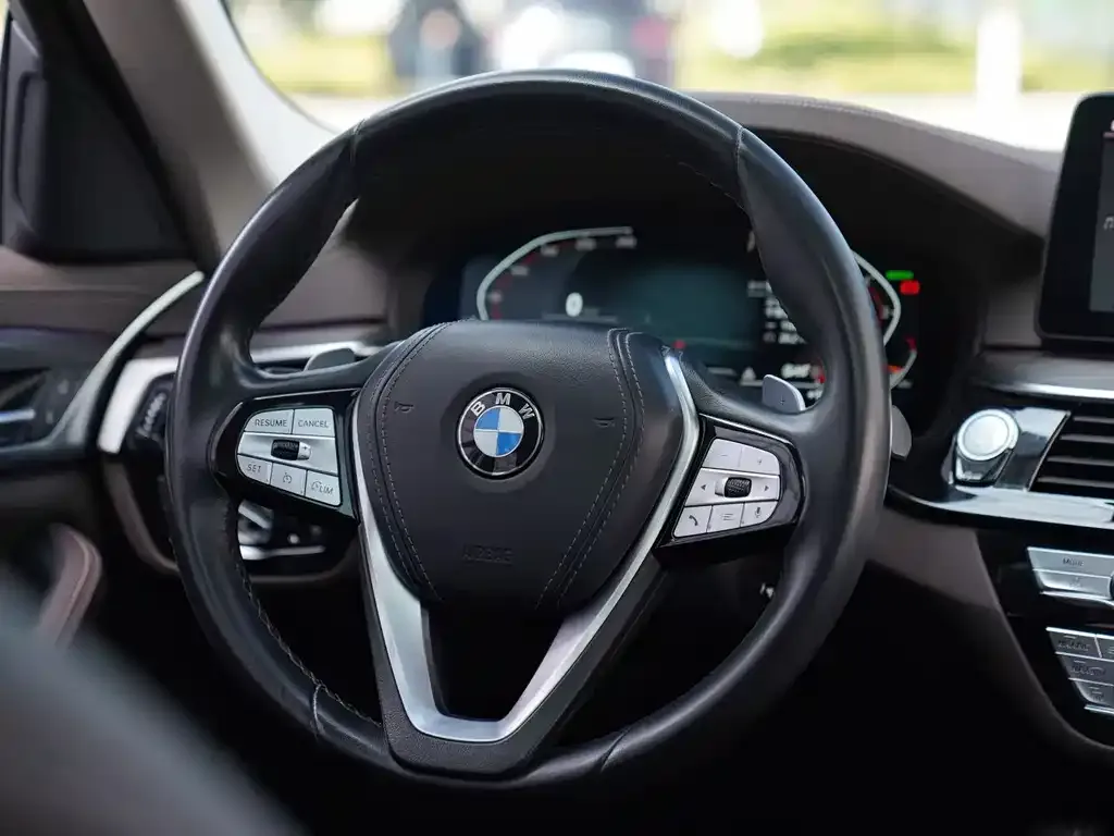 BMW 5 Series 2021 из CN, фото 2