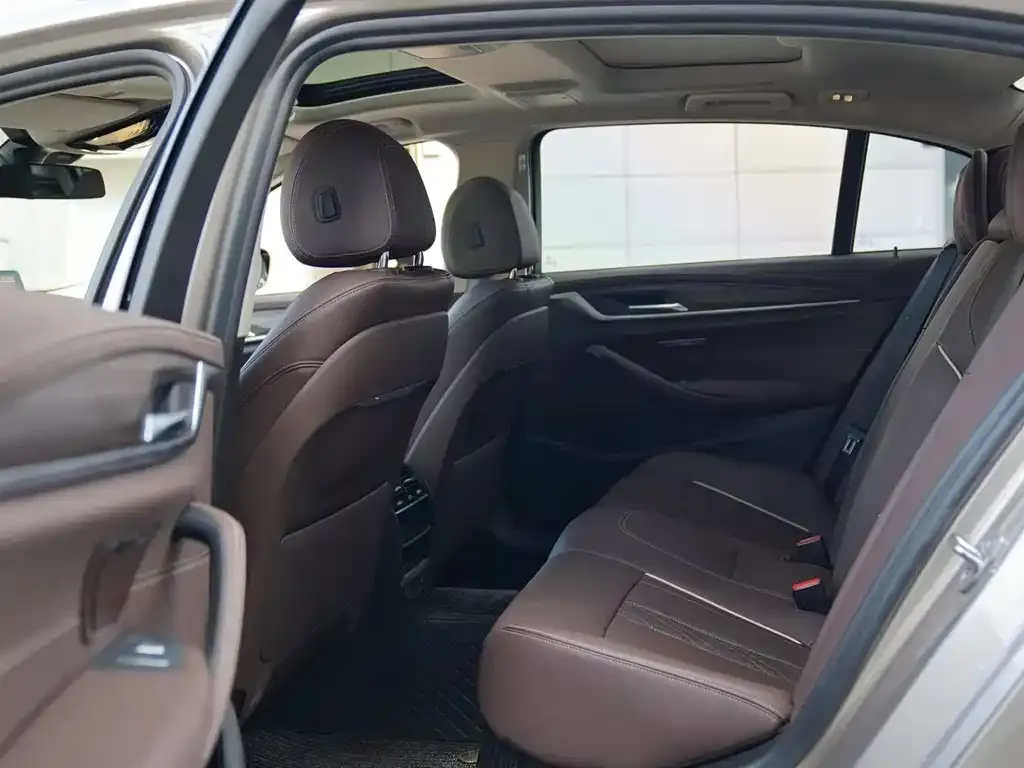 BMW 5 Series 2021 из CN, фото 9