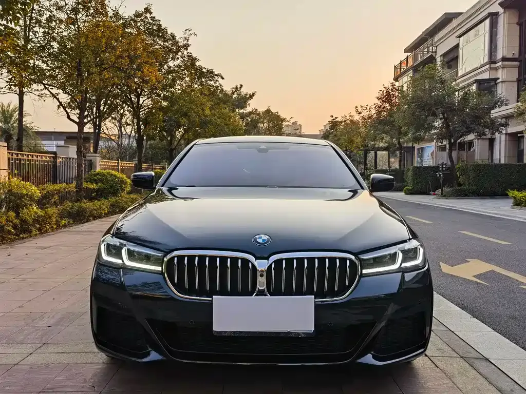 BMW 5 Series 2023 из CN, фото 1