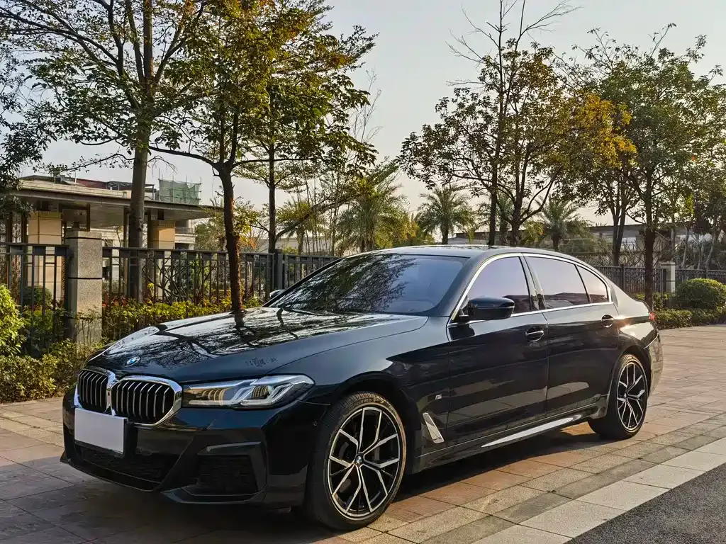 BMW 5 Series 2023 из CN, фото 8