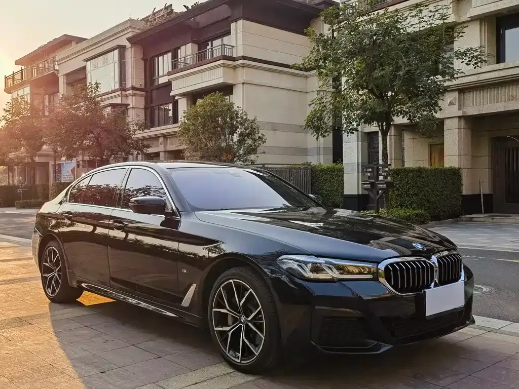 BMW 5 Series 2023 из CN, фото 6