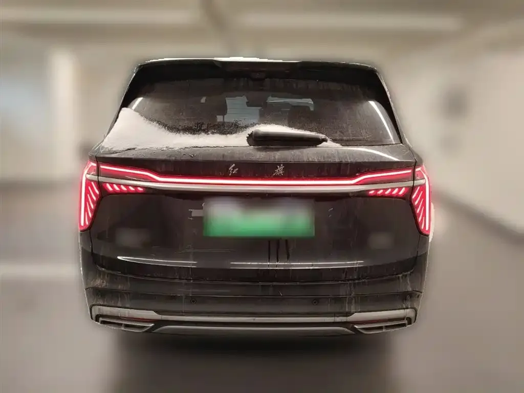 Hongqi HS7 PHEV 2024 из CN, фото 4