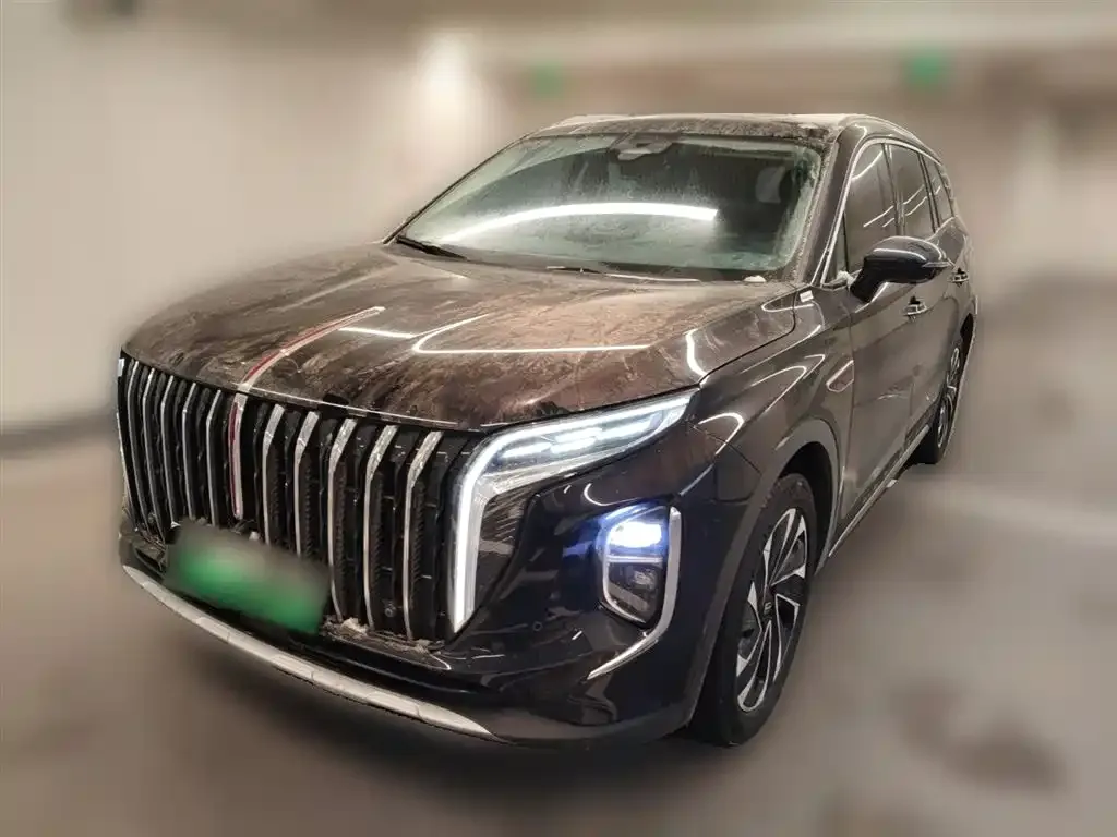 Hongqi HS7 PHEV 2024 из CN, фото 6