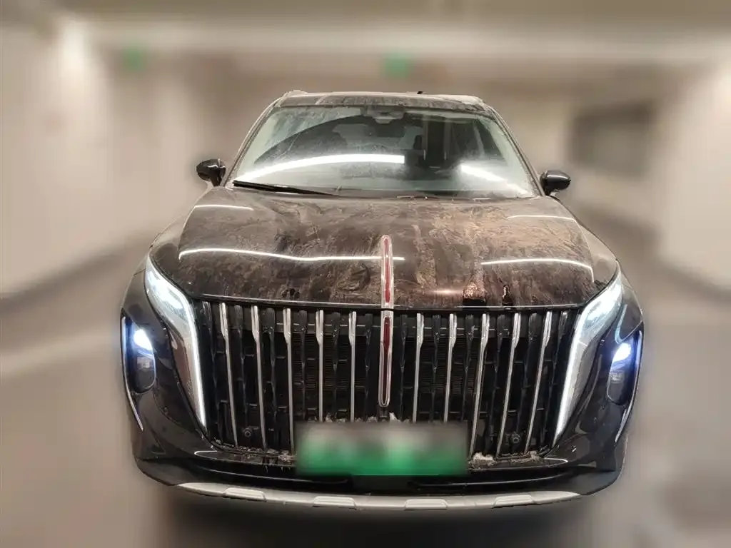 Hongqi HS7 PHEV 2024 из CN, фото 8