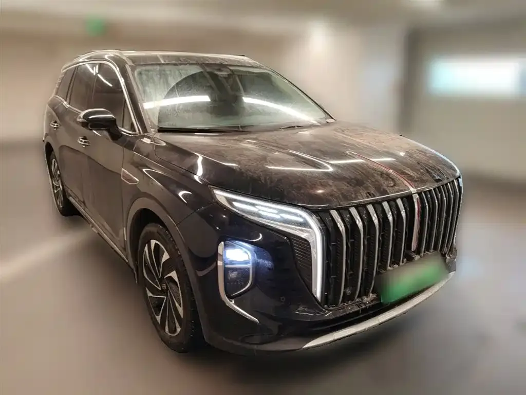 Hongqi HS7 PHEV 2024 из CN, фото 10