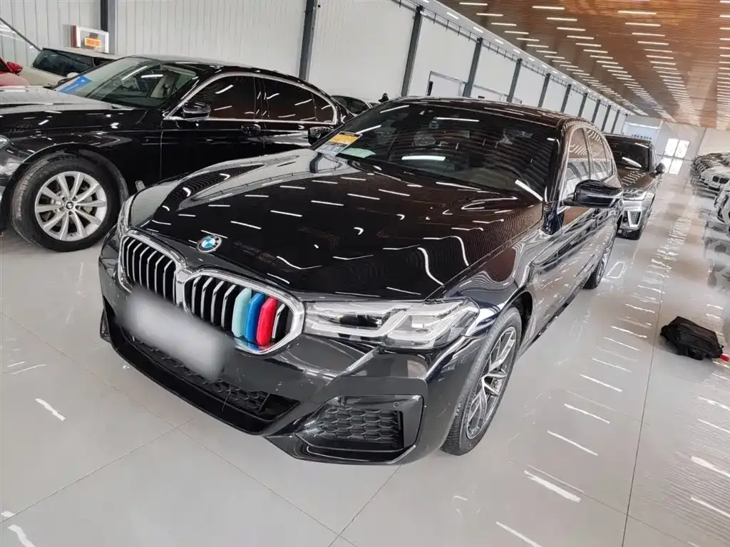 BMW 5 Series 2022 из CN, фото 1