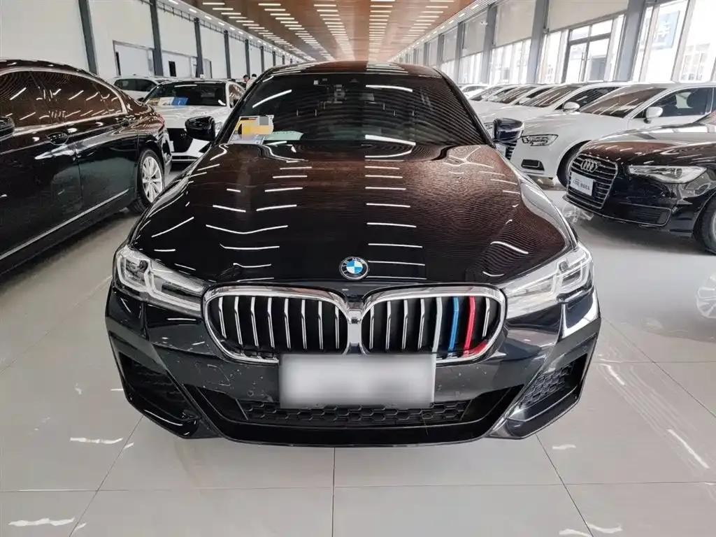 BMW 5 Series 2022 из CN, фото 4