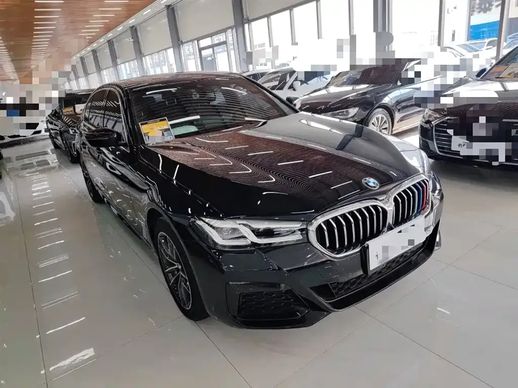 BMW 5 Series 2022 из CN, фото 6