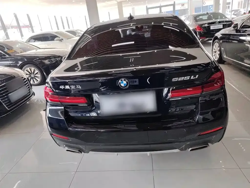 BMW 5 Series 2022 из CN, фото 9