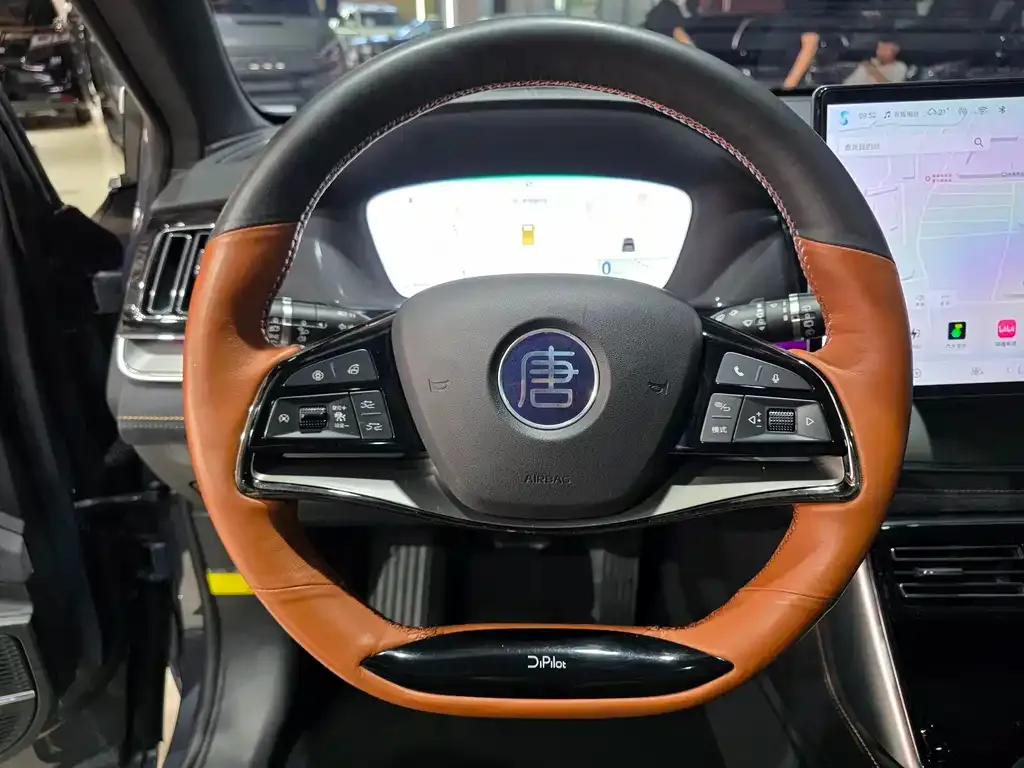 BYD Tang New Energy 2023 из CN, фото 3