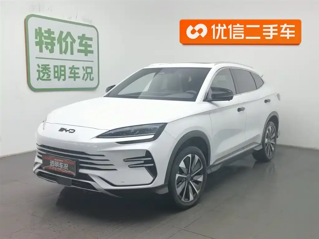 BYD PLUS New Energy 2024 из CN, фото 1