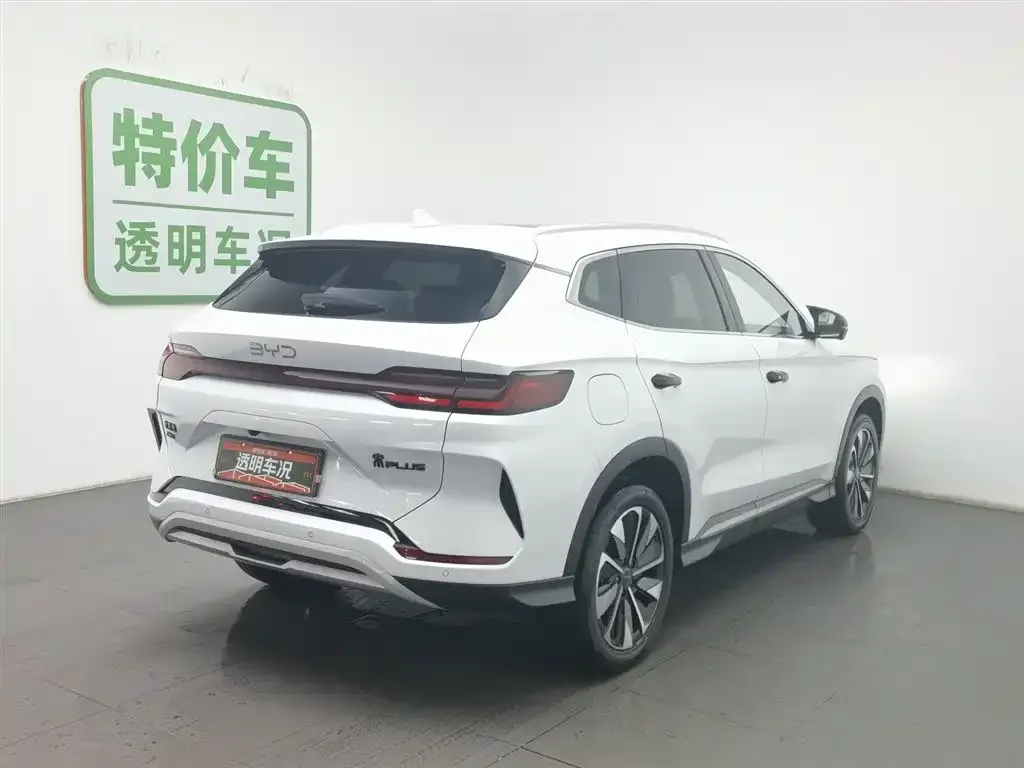 BYD PLUS New Energy 2024 из CN, фото 8
