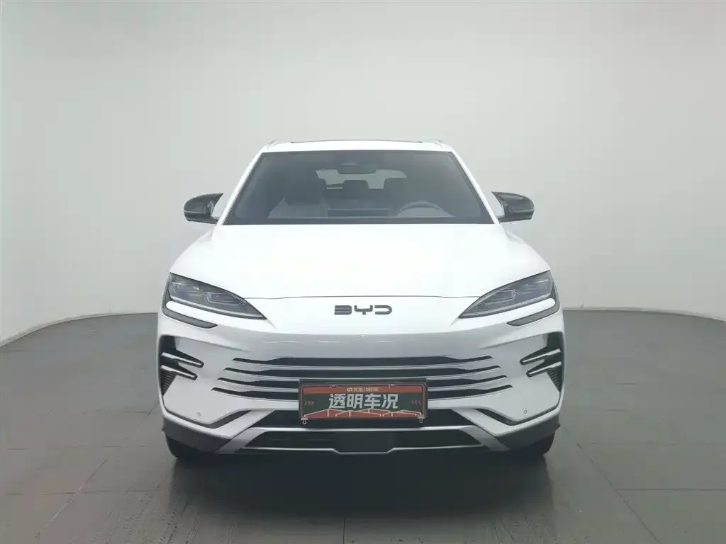 BYD PLUS New Energy 2024 из CN, фото 2