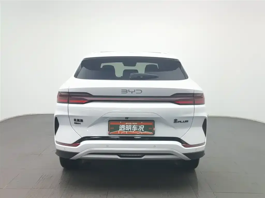 BYD PLUS New Energy 2024 из CN, фото 10