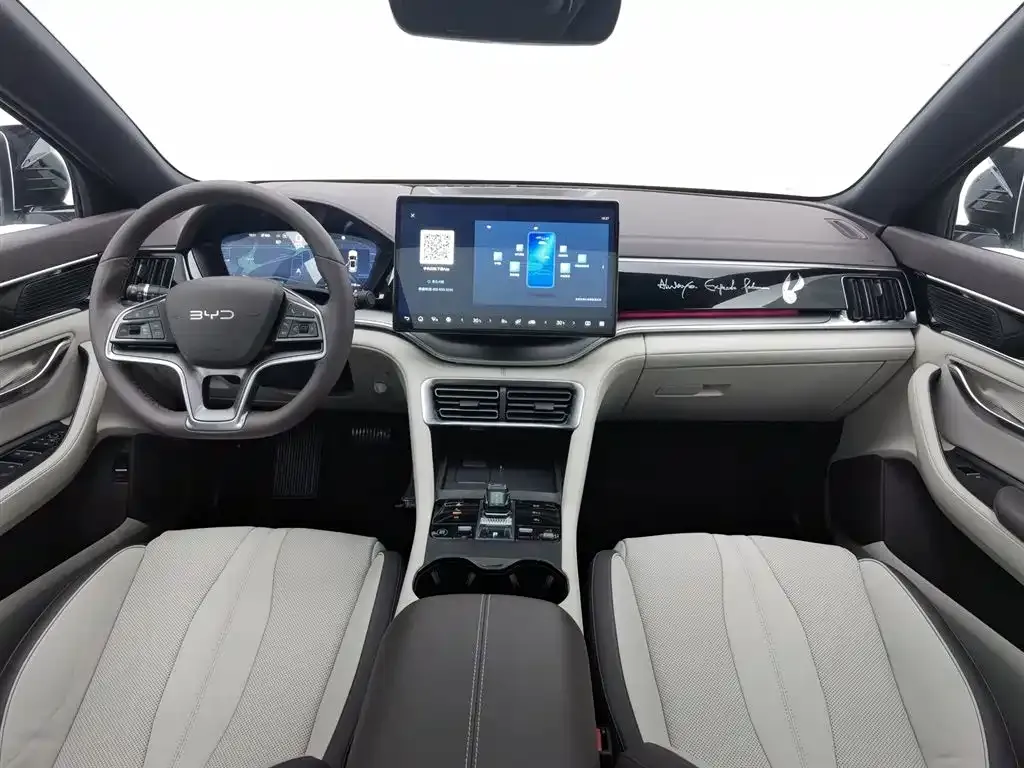 BYD PLUS New Energy 2024 из CN, фото 4