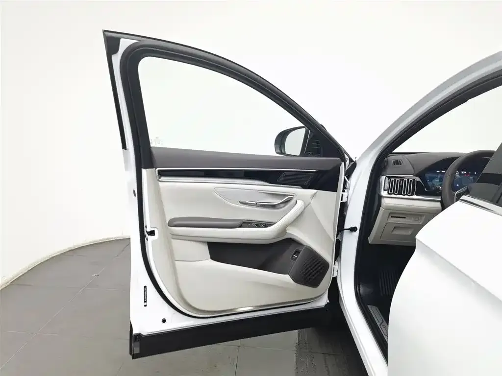 BYD PLUS New Energy 2024 из CN, фото 9