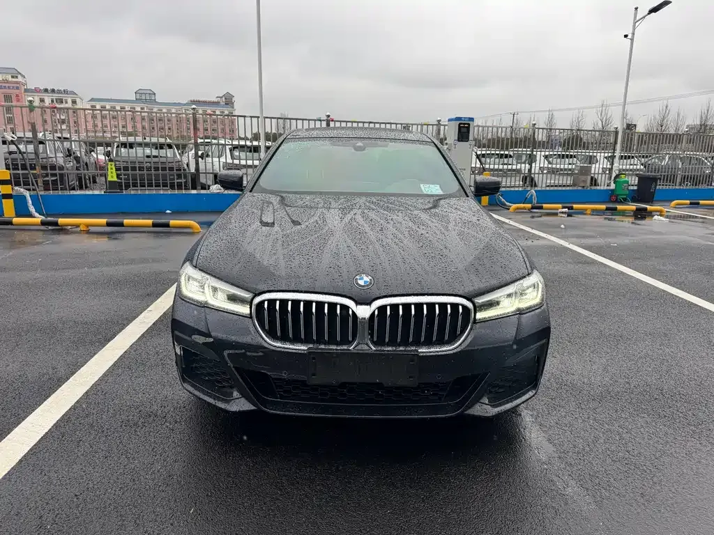 BMW 5 Series 2022 из CN, фото 2