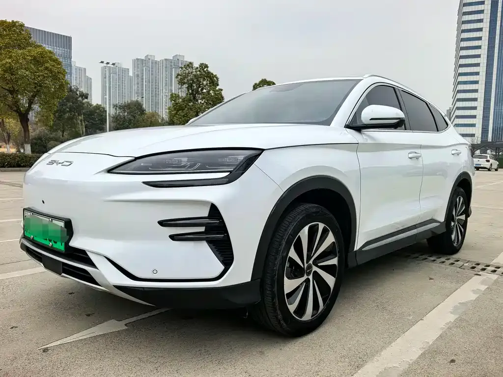 BYD PLUS New Energy 2024 из CN, фото 1