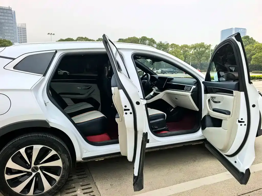 BYD PLUS New Energy 2024 из CN, фото 10