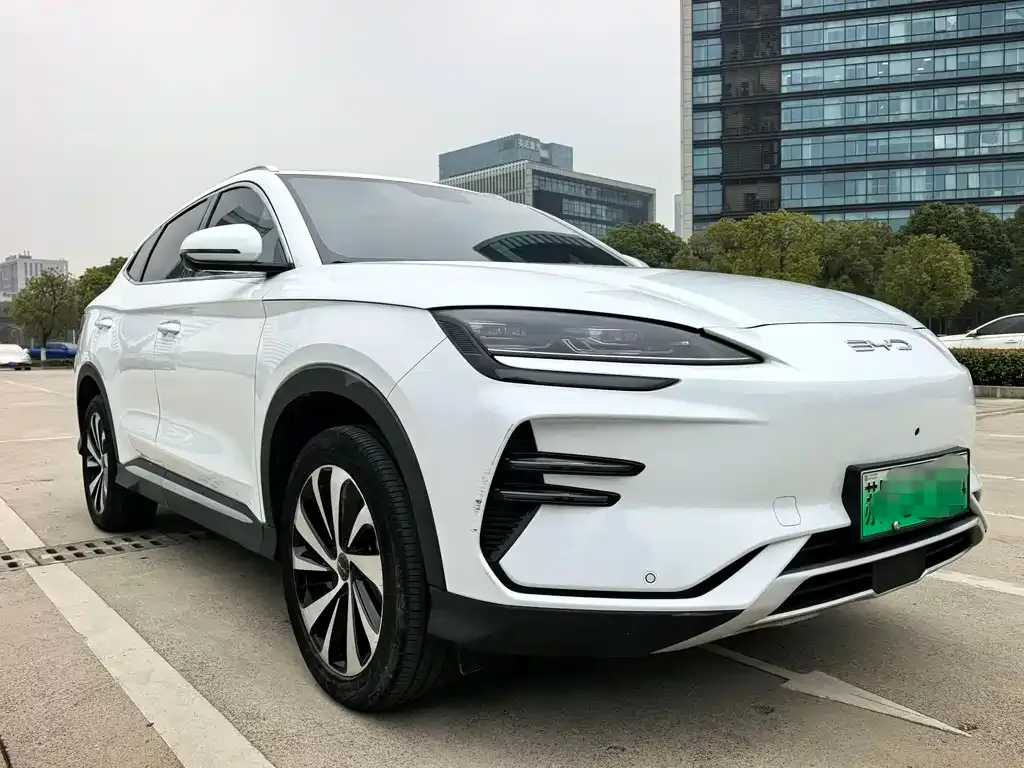 BYD PLUS New Energy 2024 из CN, фото 4