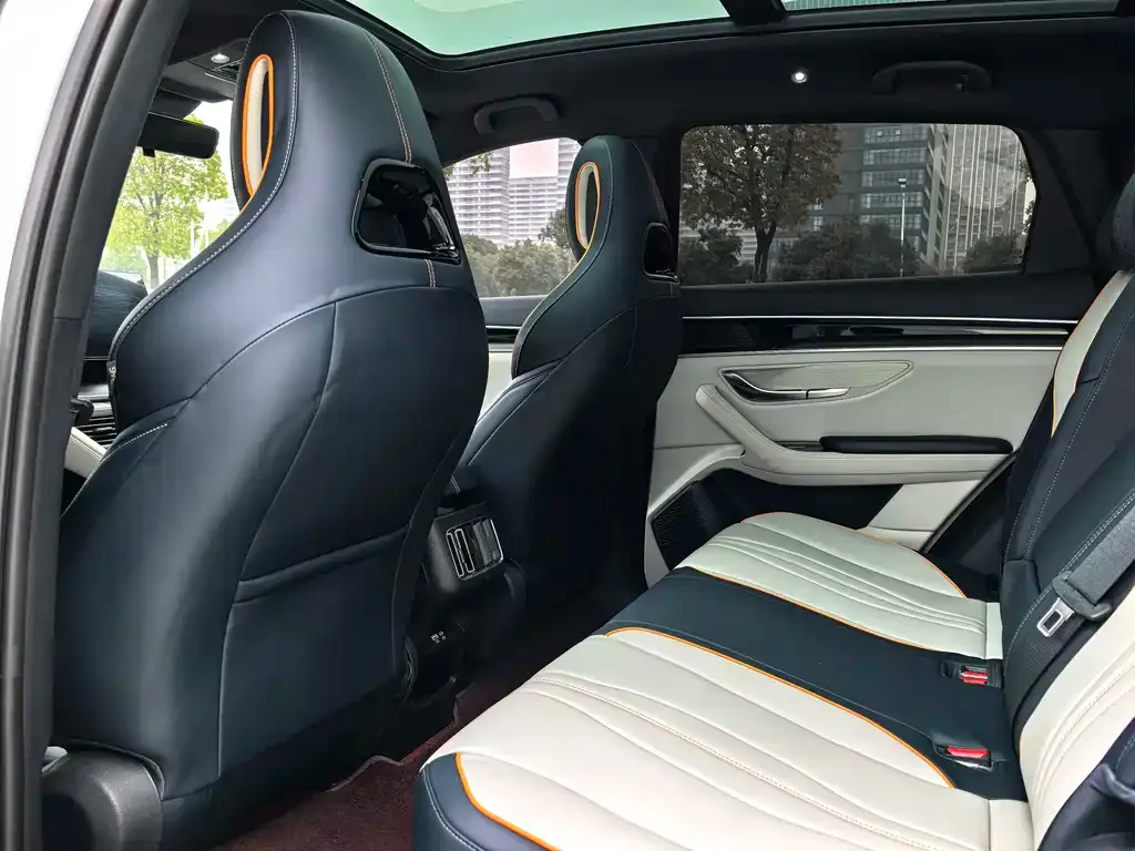 BYD PLUS New Energy 2024 из CN, фото 2