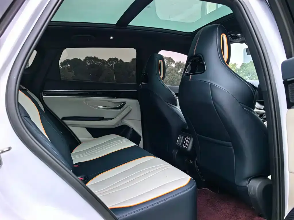 BYD PLUS New Energy 2024 из CN, фото 5