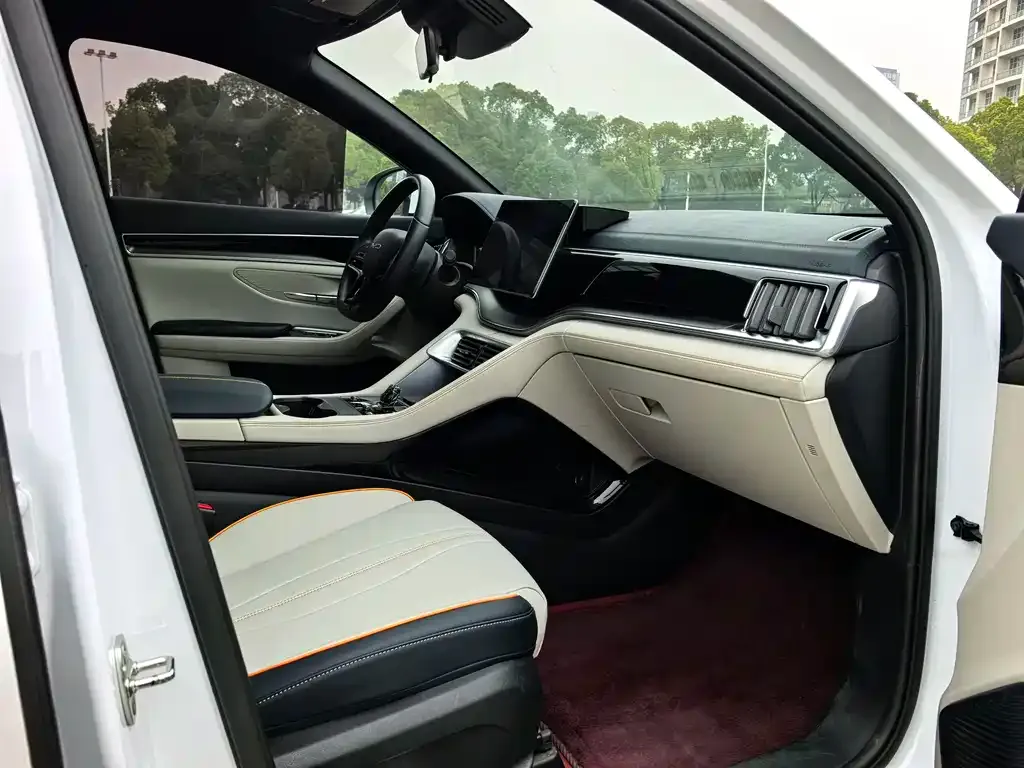 BYD PLUS New Energy 2024 из CN, фото 6