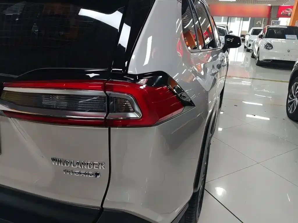 Toyota Wildlander 2023 из CN, фото 7