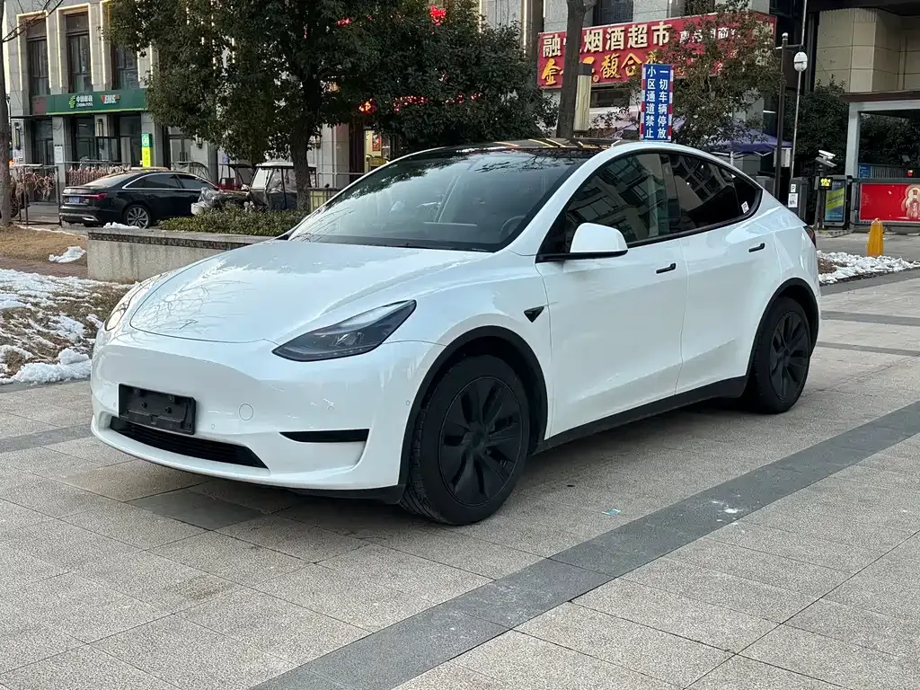 Tesla Model Y 2024 из CN, фото 1