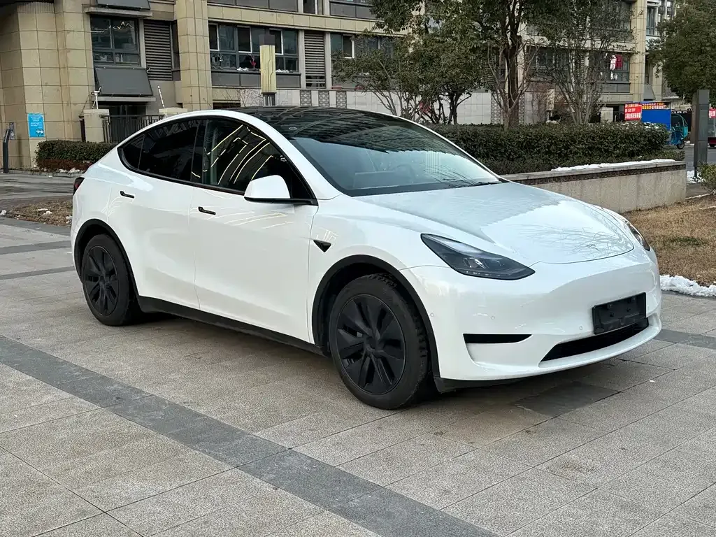 Tesla Model Y 2024 из CN, фото 6