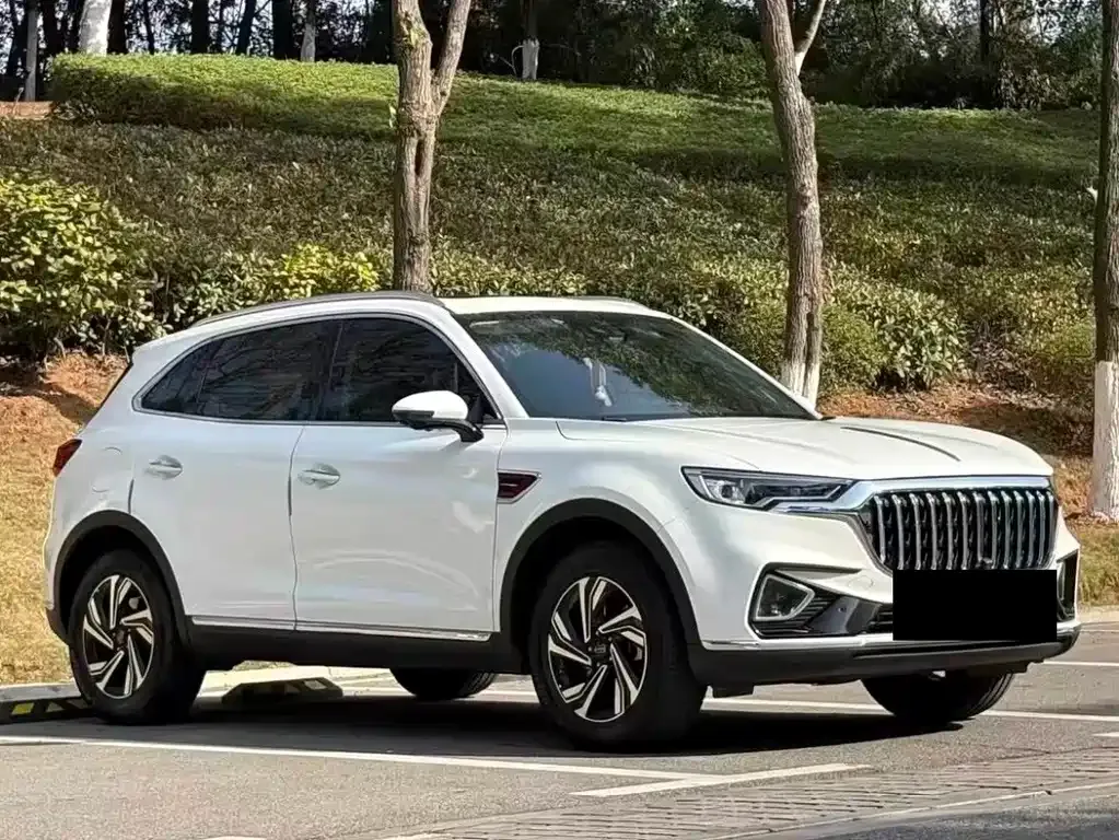 Hongqi HS5 2021 из CN, фото 9