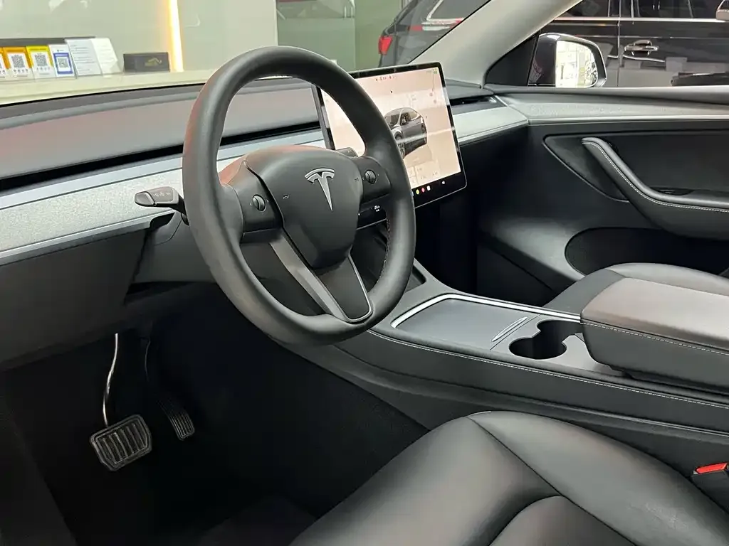Tesla Model Y 2025 из CN, фото 8