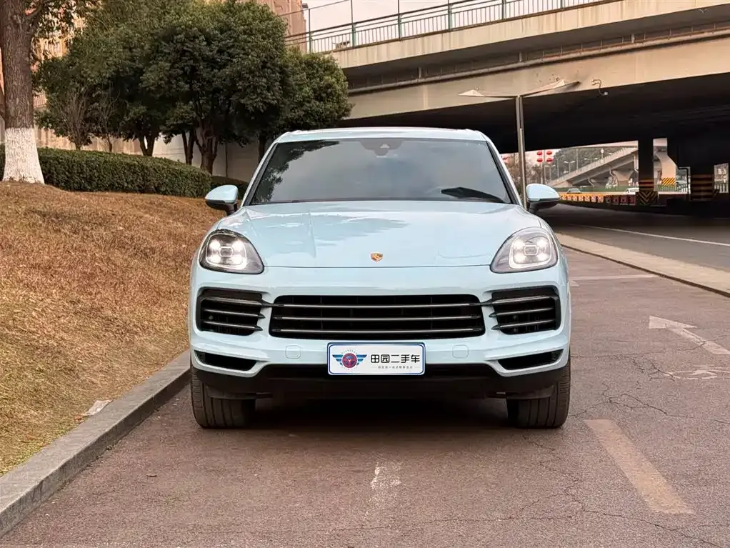 Porsche Cayenne 2021 из CN, фото 8