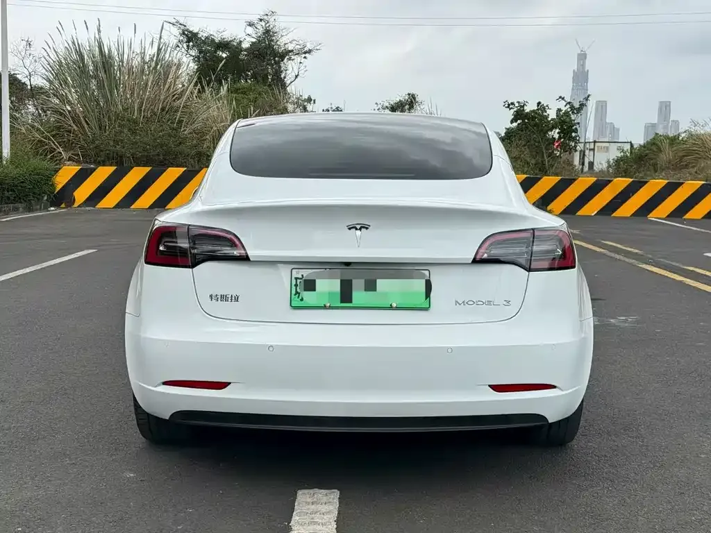 Tesla Model 3 2022 из CN, фото 3