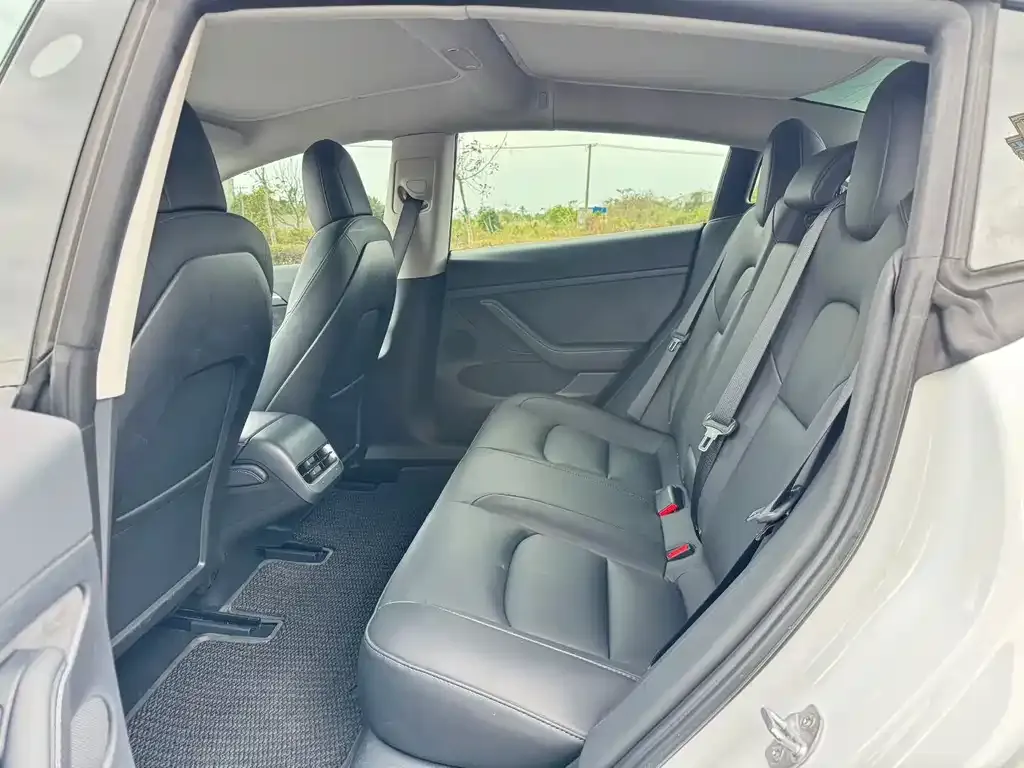 Tesla Model 3 2022 из CN, фото 2