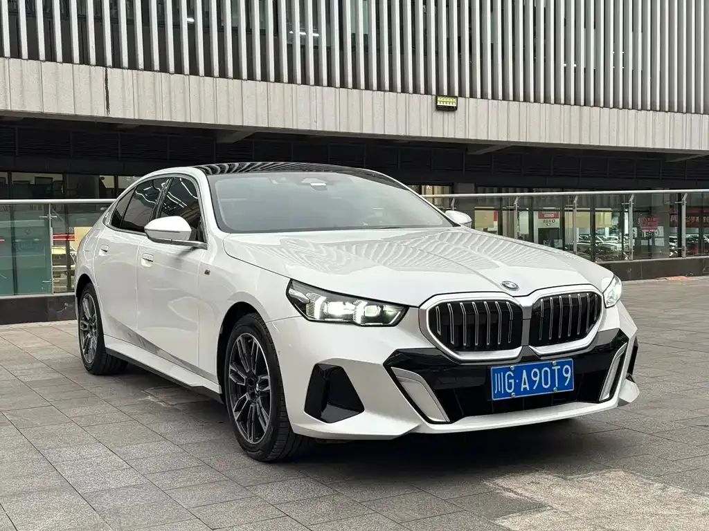 BMW 5 Series 2024 из CN, фото 9